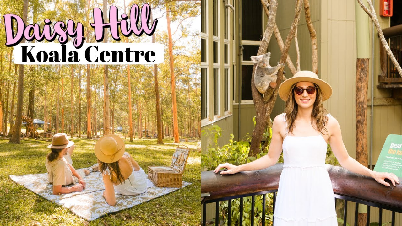 Daisy Hill Koala Centre & Conservation Park 🐨 Brisbane Day Trip Vlog