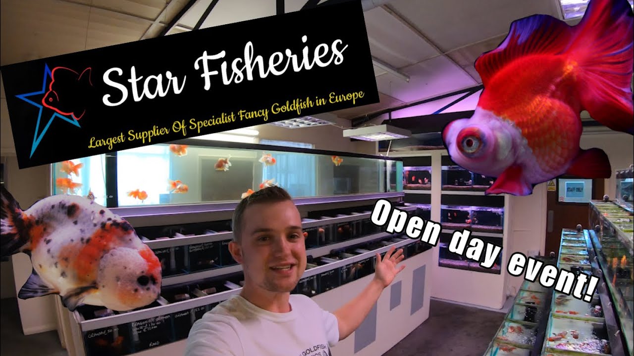 Star Fisheries open day event! EXCLUSIVE TOUR!