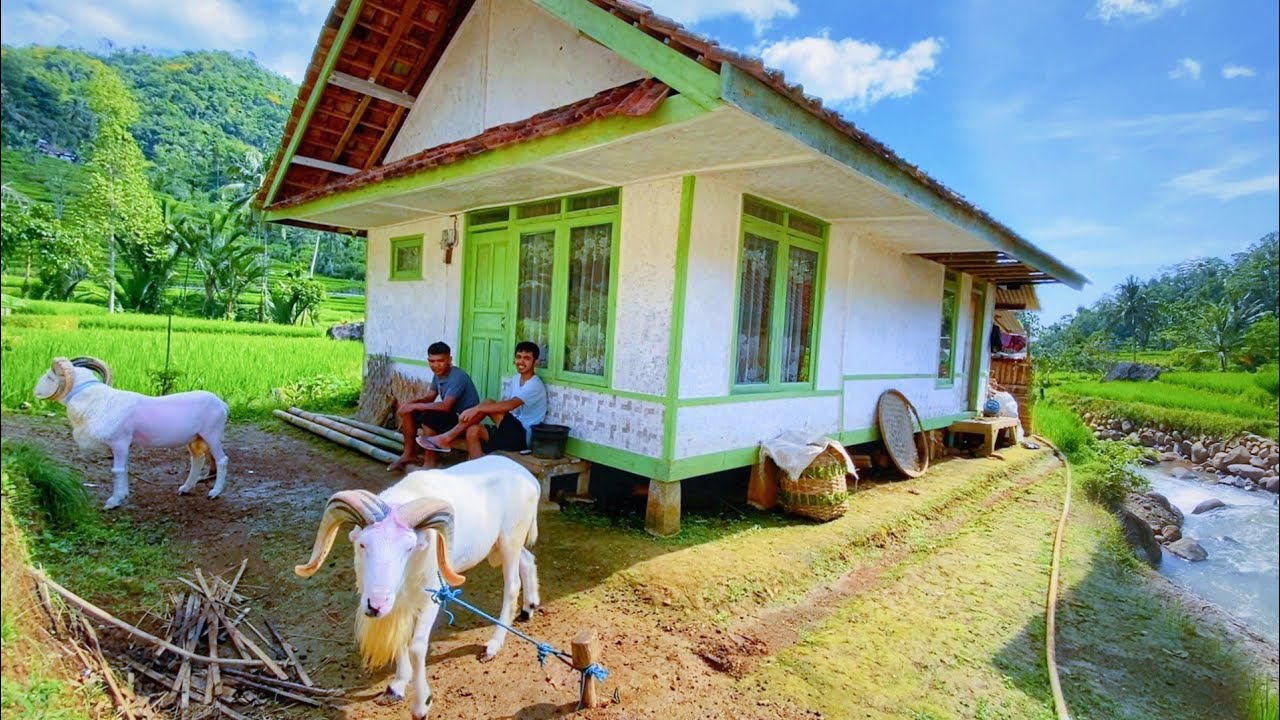 DIJAMIN BETAH😍 MENIKMATI HIDUP DI KAMPUNG YANG INDAH ALAM DESANYA, SUASANANYA ADEM, AYEM & TENTRAM