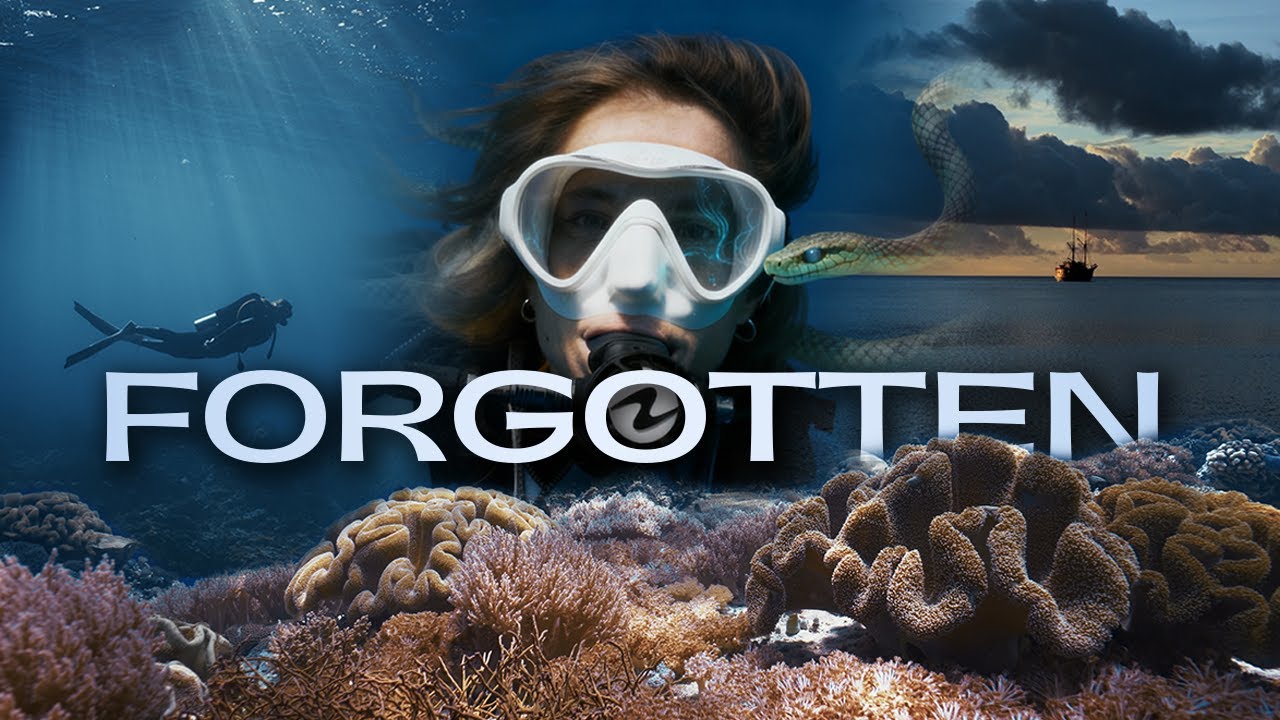 FORGOTTEN | Diving with Sea Snakes | Forgotten Islands