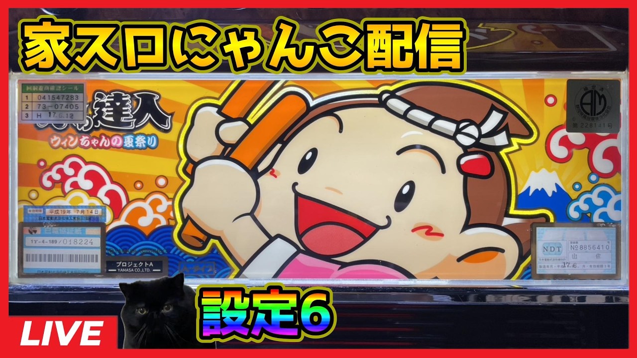 【家スロにゃんこ配信】祭の達人～ウィンちゃんの夏祭り～【設定6】