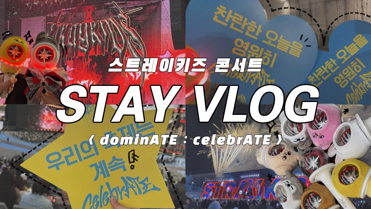 [STAY VLOG] 우리 콘서트 또 하자…스트레이키즈 콘서트 브이로그 | dominATE celebrATE | 스테이브이로그 