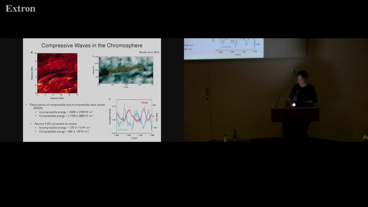 The Role of MHD Waves in Coronal Heating - Professor Ineke de Moortel