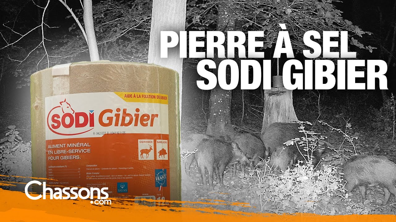Cerfs, chevreuils ou sanglier:  Pourquoi installer des pierres à sel Sodi Gibier ?