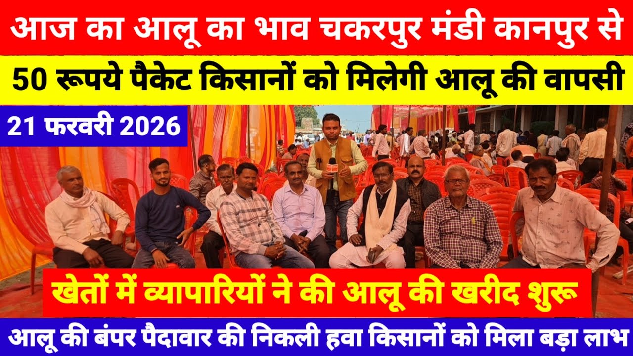21 फरवरी 2026 // आज का आलू का भाव चकरपुर मंडी कानपुर से खेतों में व्यापारियों ने की आलू की खरीद शुरू