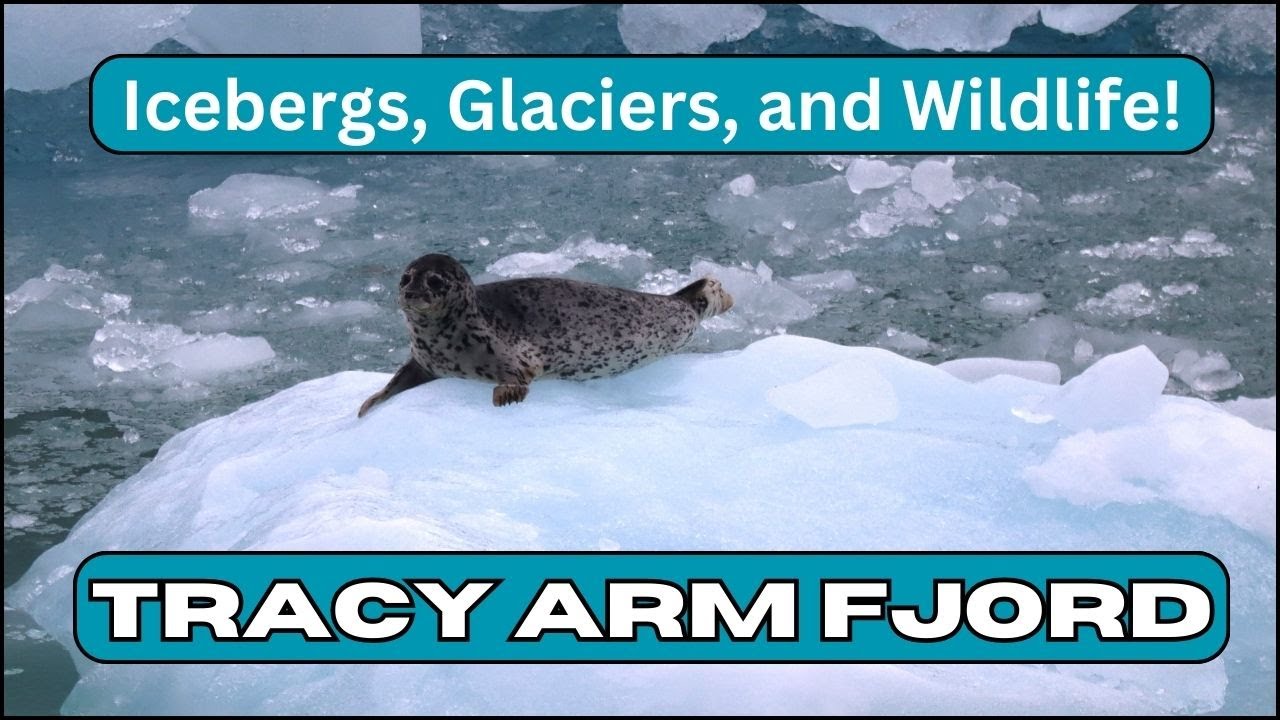 Alaska cruise Part 1 - Why go to Tracy Arm Fjord?  Because it is MIND-Blowing!