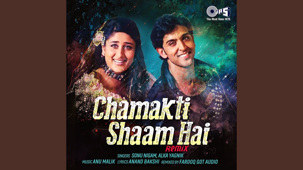 Chamakti Shaam Hai (Remix)