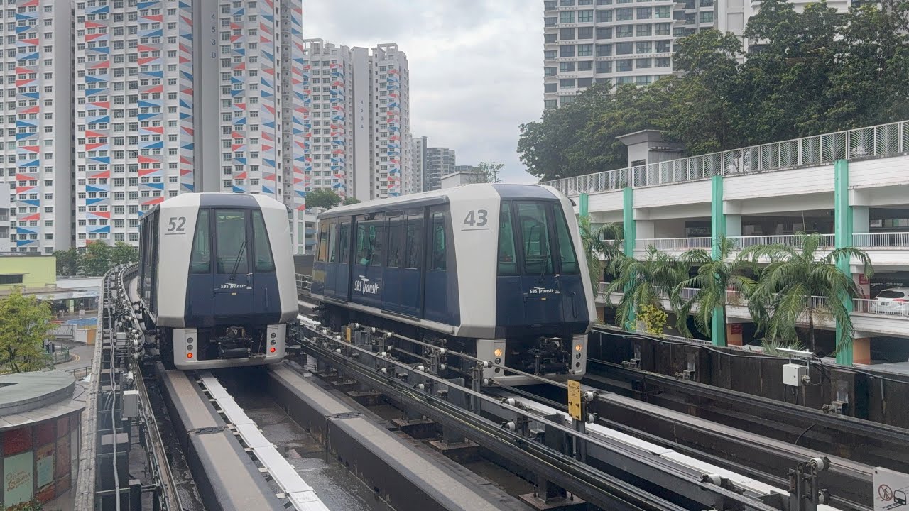 Mitsubishi Electric Crystal Movers C810A [V52] joyride from (SW7) Tongkang➡️Fernvale (SW5)