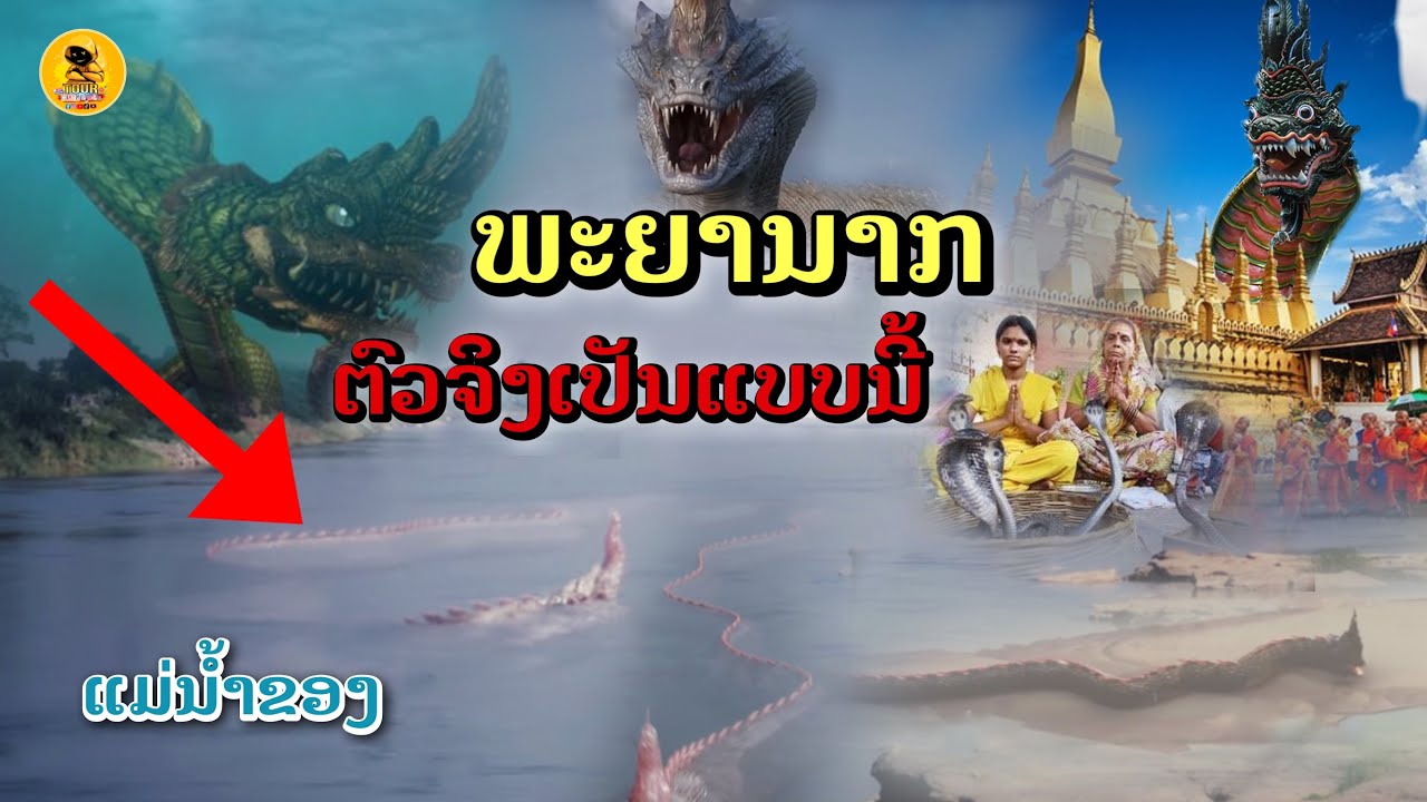 ພະຍານາກຕົວຈິງເປັນແບບນີ້[EP39]#พญานาคจริงๆ#เรื่องพญานาค#ເລື່ອງພະຍານາກ#ເມືອງລາວ#พญานาค แม่น้ำโขง