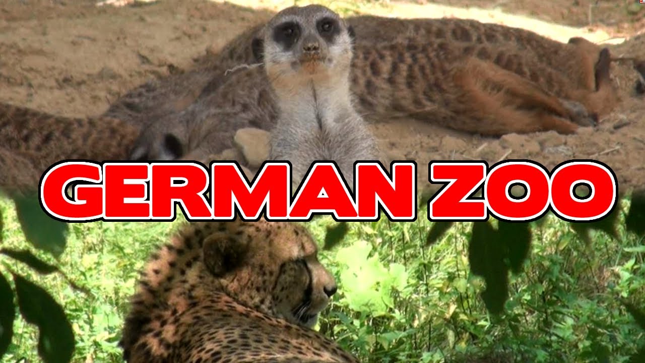 ZOO Pt1 - Lost Germany Adventures
