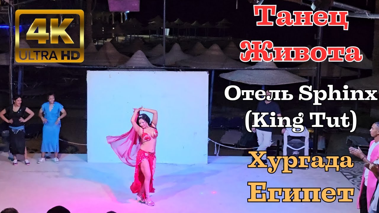 Танец живота. Отель Sphinx (King Tut). Хургада. Египет 4K | Belly dance. Sphinx Hotel. Hurghada