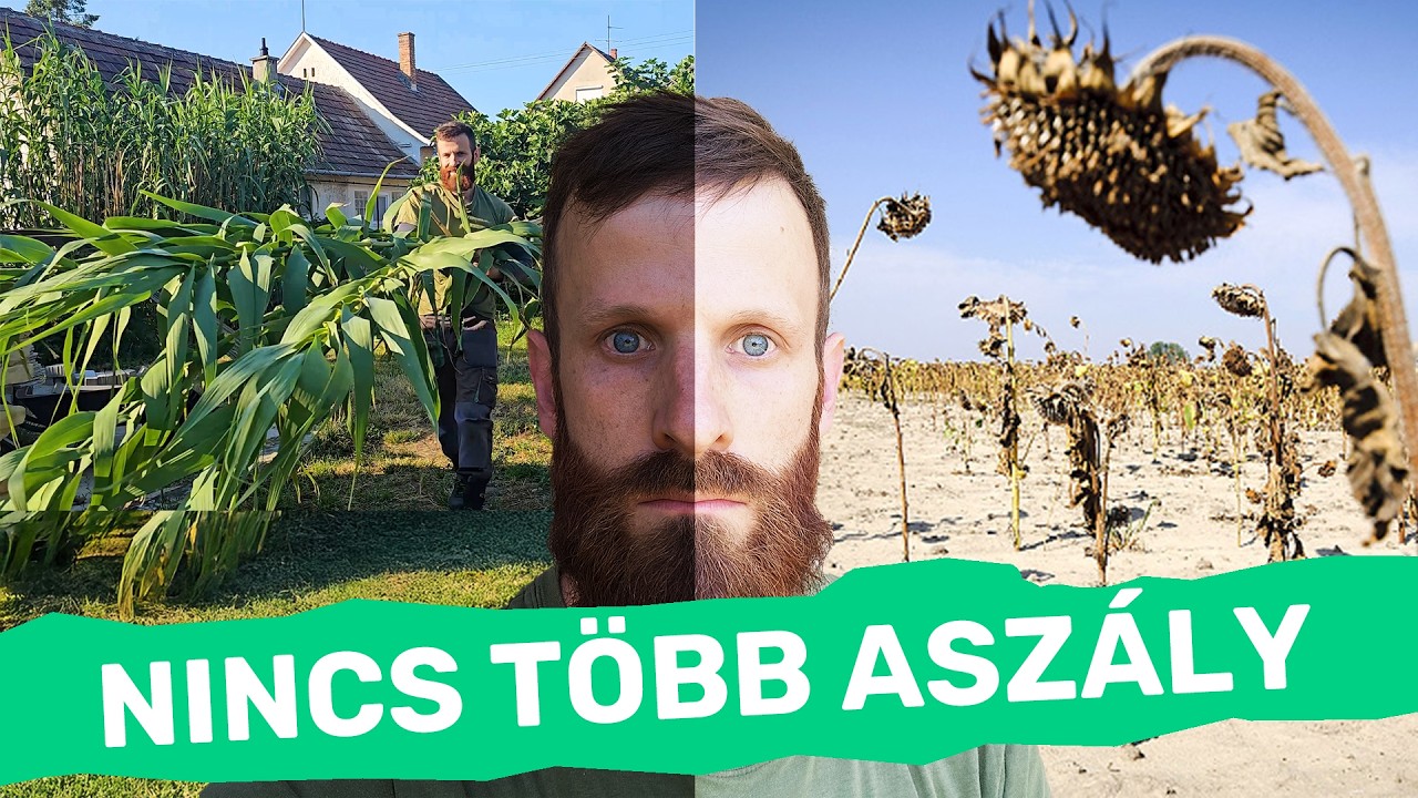 Kerti ÁRNYÉKOLÓ készítése ASZÁLY ELLEN - olasznád felhasználásával