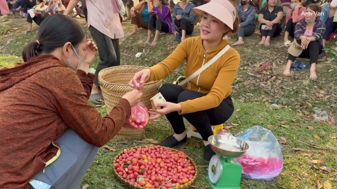 FULL VIDEO:60 days Harvesting ripe sugar oranges,pineapple go to the market to sell- garden |Anh Van