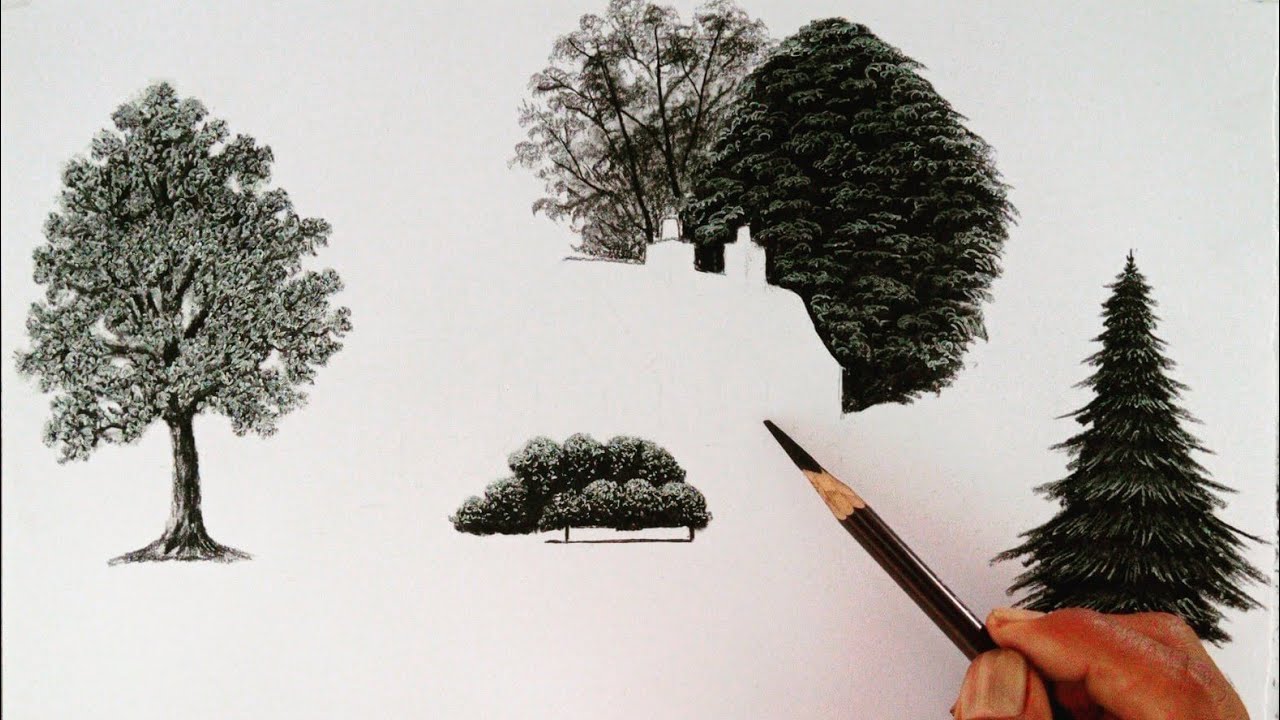 Trees and bushes drawing for a landscape scenery // Pencil drawing for beginners //