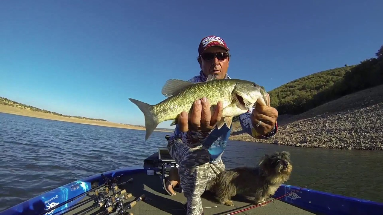 Spinner Time in Lake Cijara - 2&ordf; part.