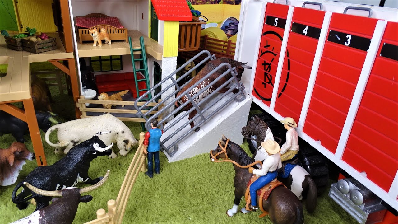 Taking the bulls for the RODEO/PART#2/ BULLS in the farm