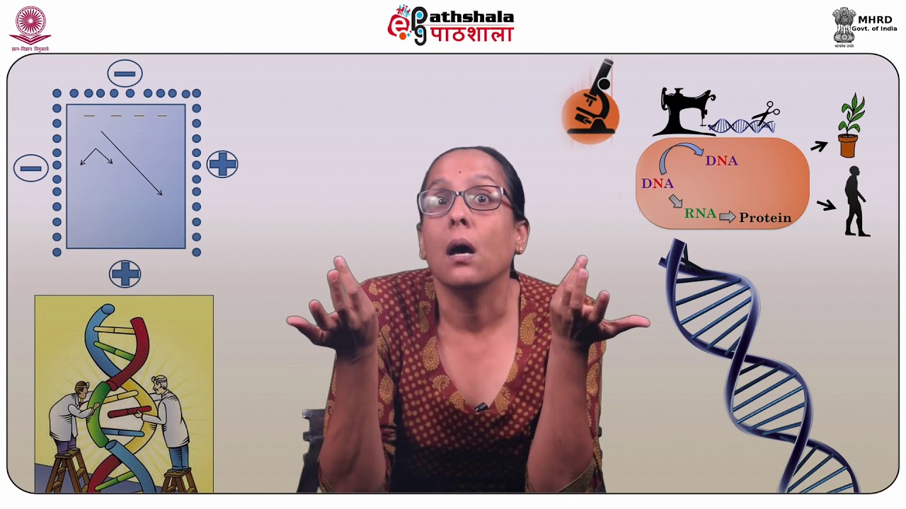 Protein-protein interaction and its requirement, Protein microarray