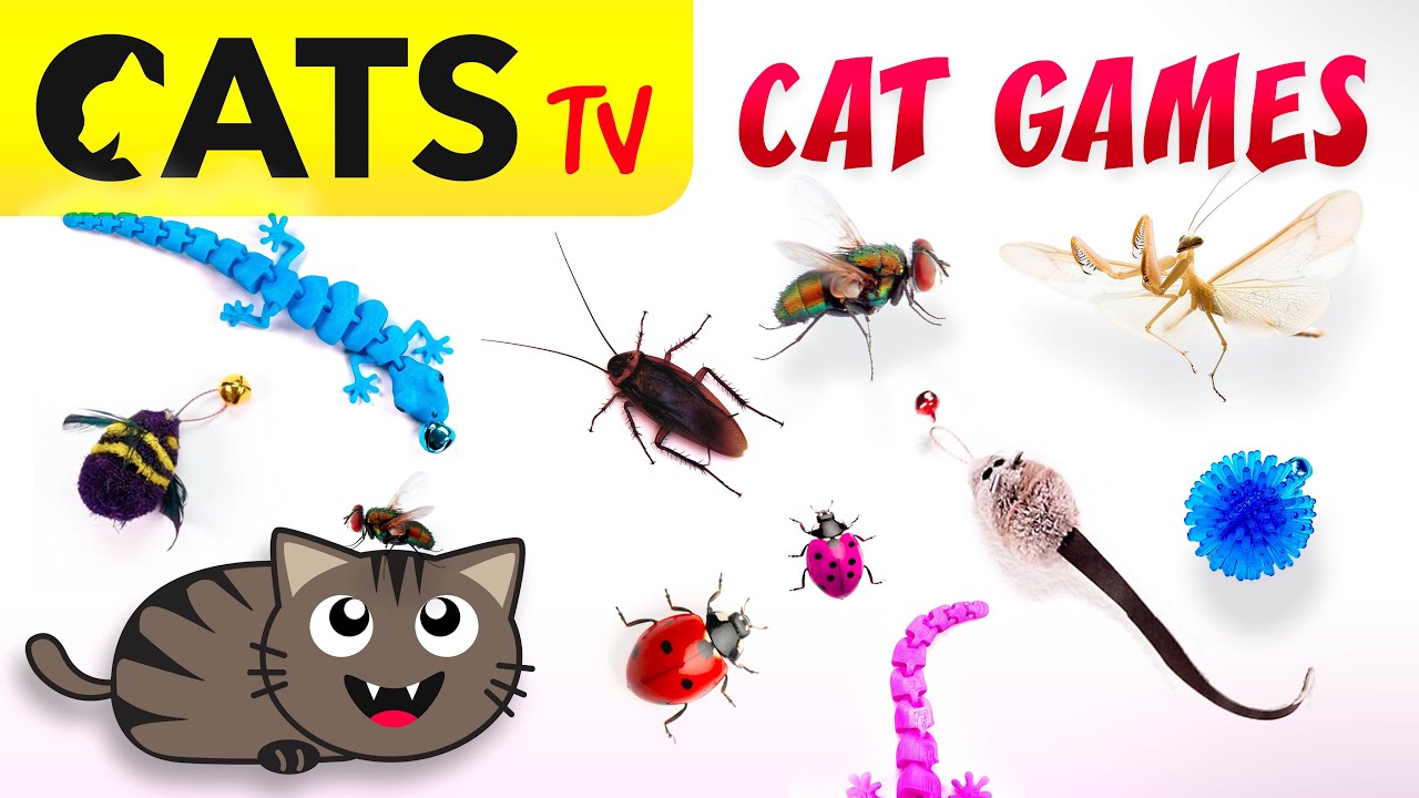CAT TV 📺🐭  MARCH Ultimate Compilation #05 🦎😻🪰 3D SOUND 🔊 (4K 60FPS)