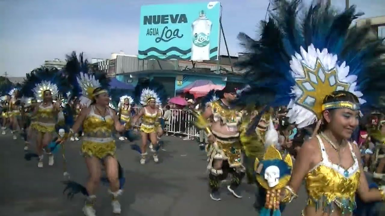 TOBAS GIGANTES ALADOS