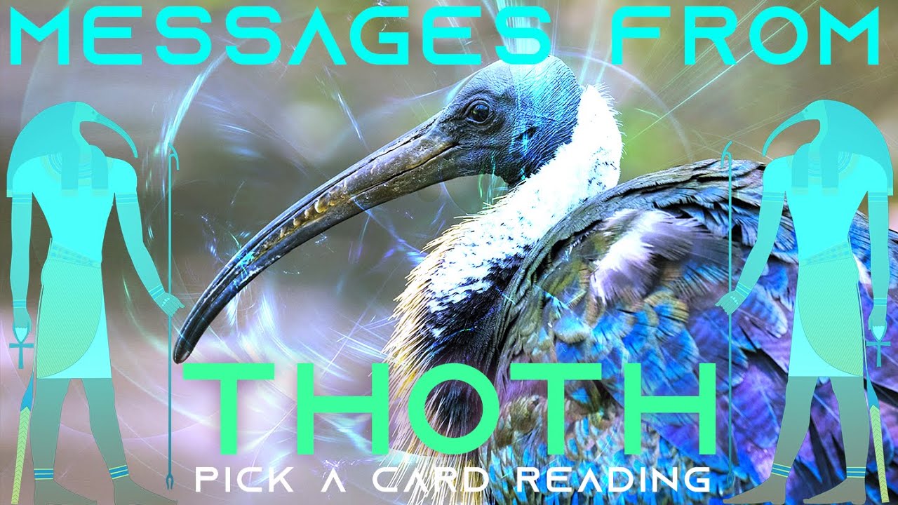 Messages From THOTH 𓅞 Pick A Card Reading