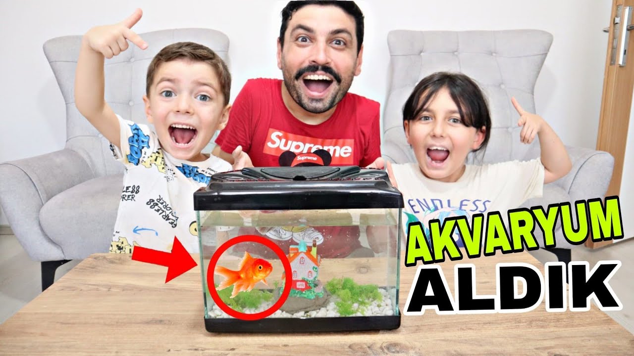 EVE DEV AKVARYUM KURDUK! YÜSRAYA ÇOK SEVİNDİ 🐟