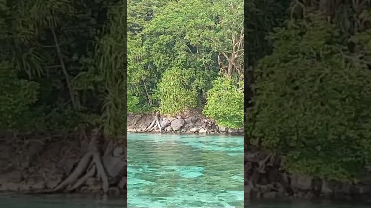 Wasior West Papua