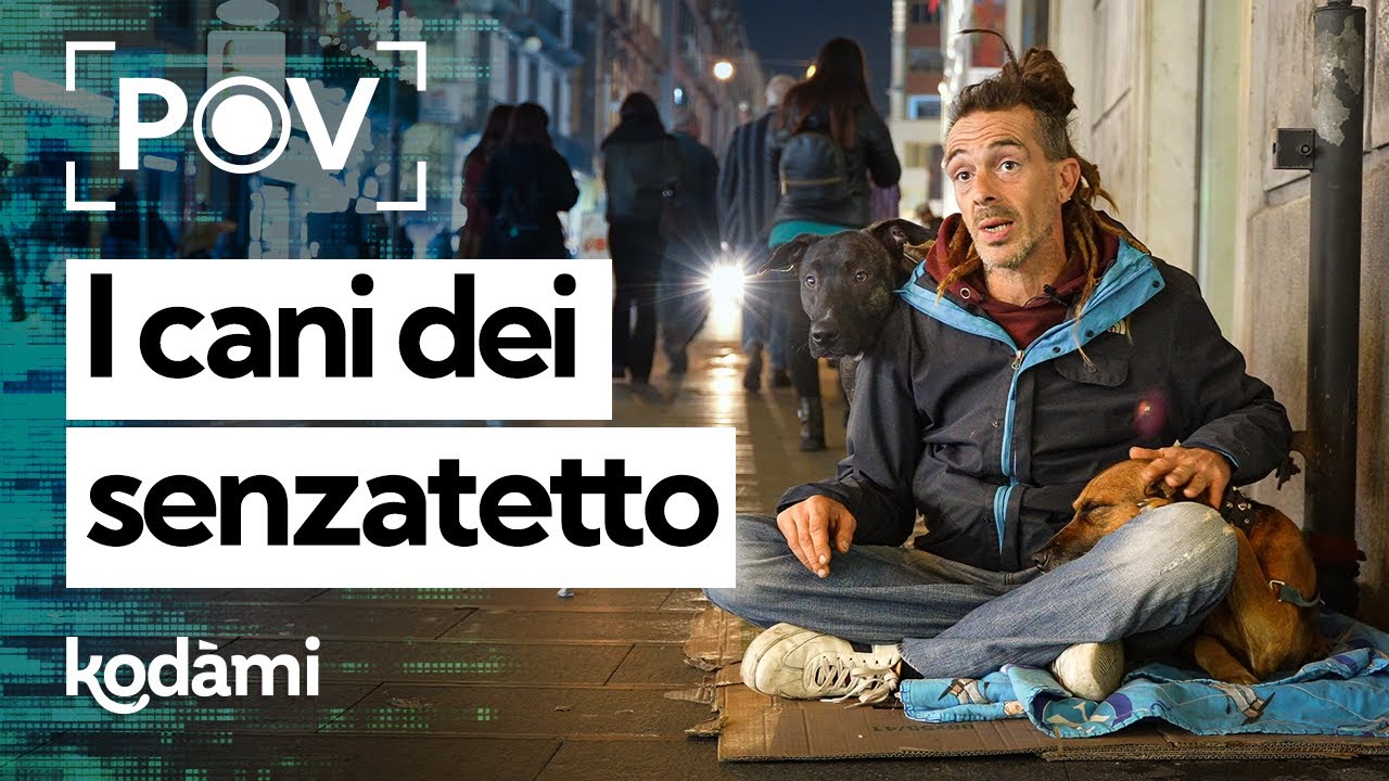Senzatetto e cani, storie di un'amicizia speciale vissuta in strada oltre i pregiudizi