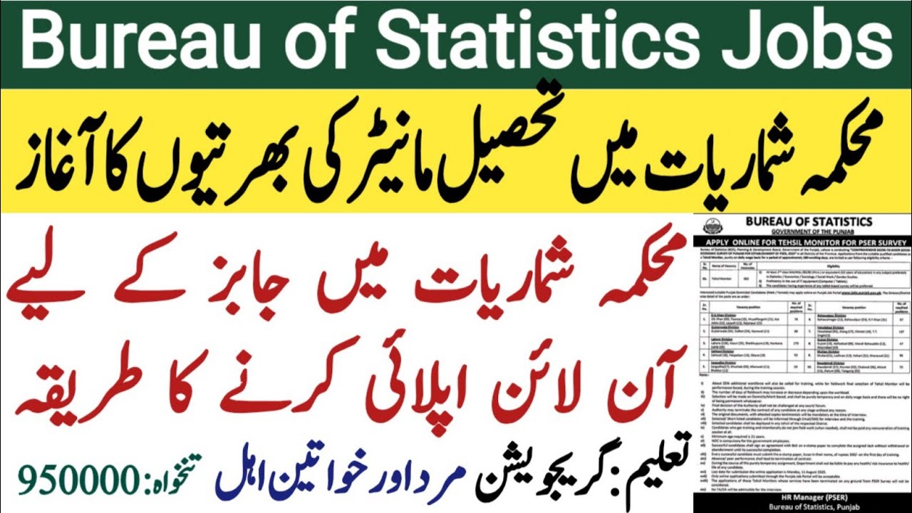 Bureau of Statistics Jobs 2025 How to Apply Online | Tehsil Monitor PSER Survey |Pakistan Government