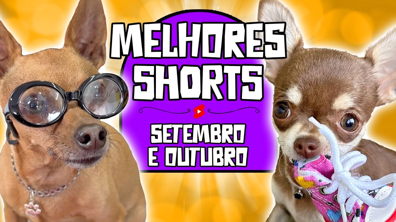 OS MELHORES SHORTS DE SETEMBRO E OUTUBRO 2024 DOS PEQUENOS PRÍNCIPES | MEGA COMPILADO