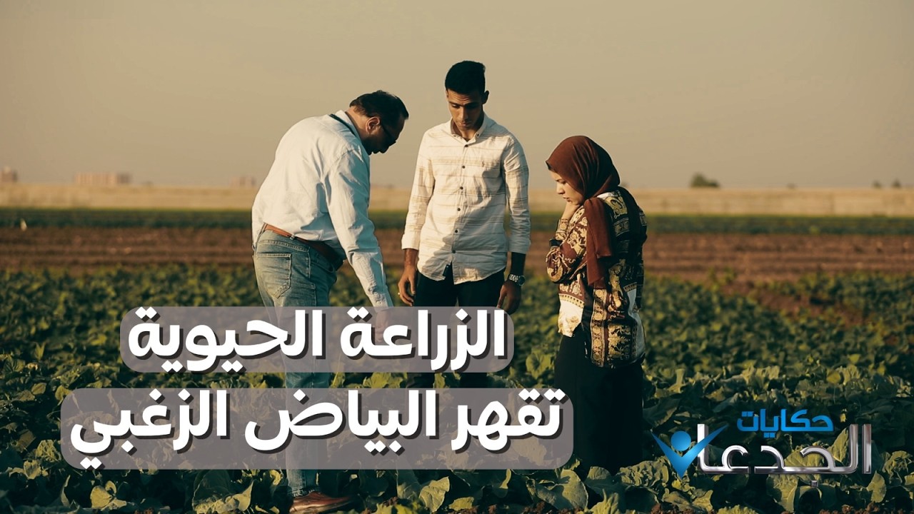 شراكة مصرية سعودية لنشر نظم الزراعة الحيوية وتغذية التربة.. سر مناعة النباتات