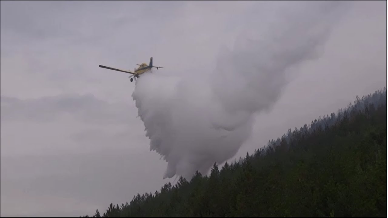 Bomberos de Navarra laborando en incendio forestal