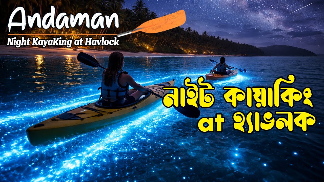 Best Night Kayaking Experience Havelock Island | Andaman Bioluminescence Tour Cost | জলের রং নীল? 😱