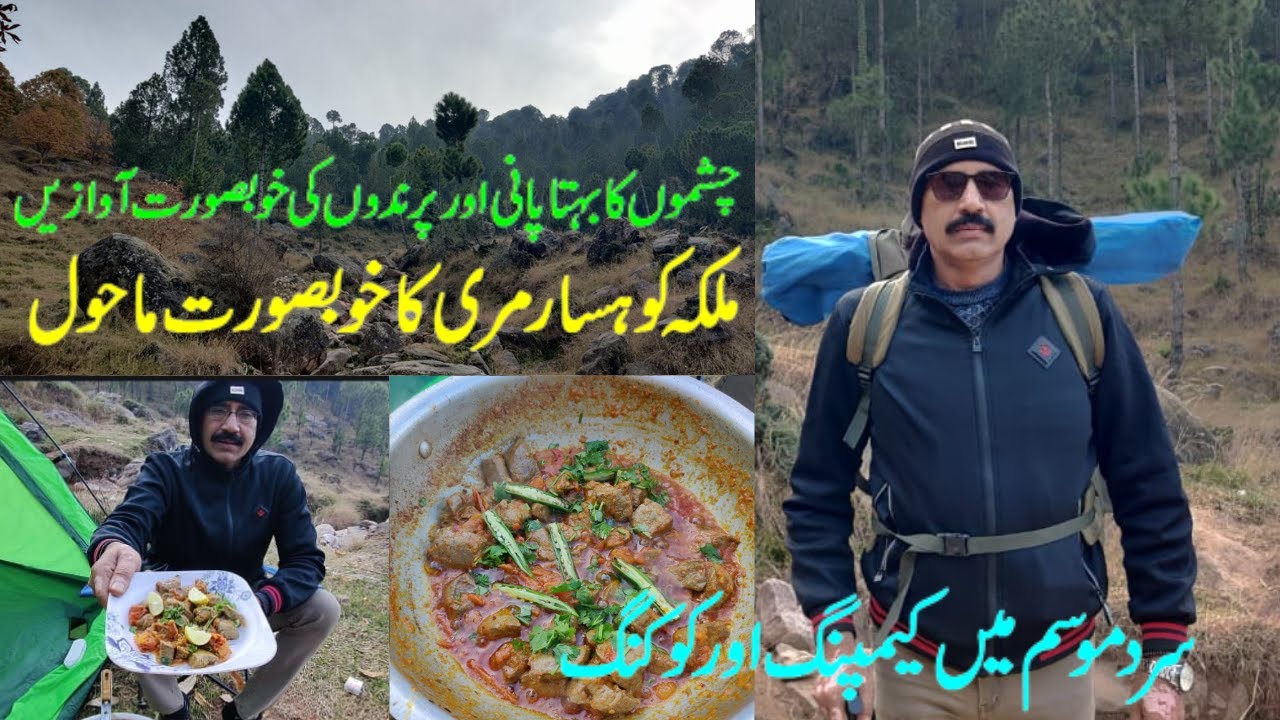 camping in Murree|Campfire Cooking Adventure: Delicious Meals in the Great Outdoors