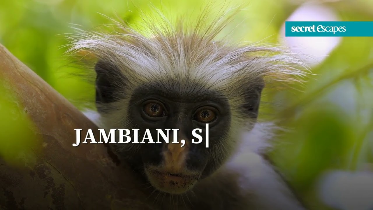 Secret Escapes - Tansania: Verlockendes Safari-Abenteuer & Sansibar-Strandurlaub