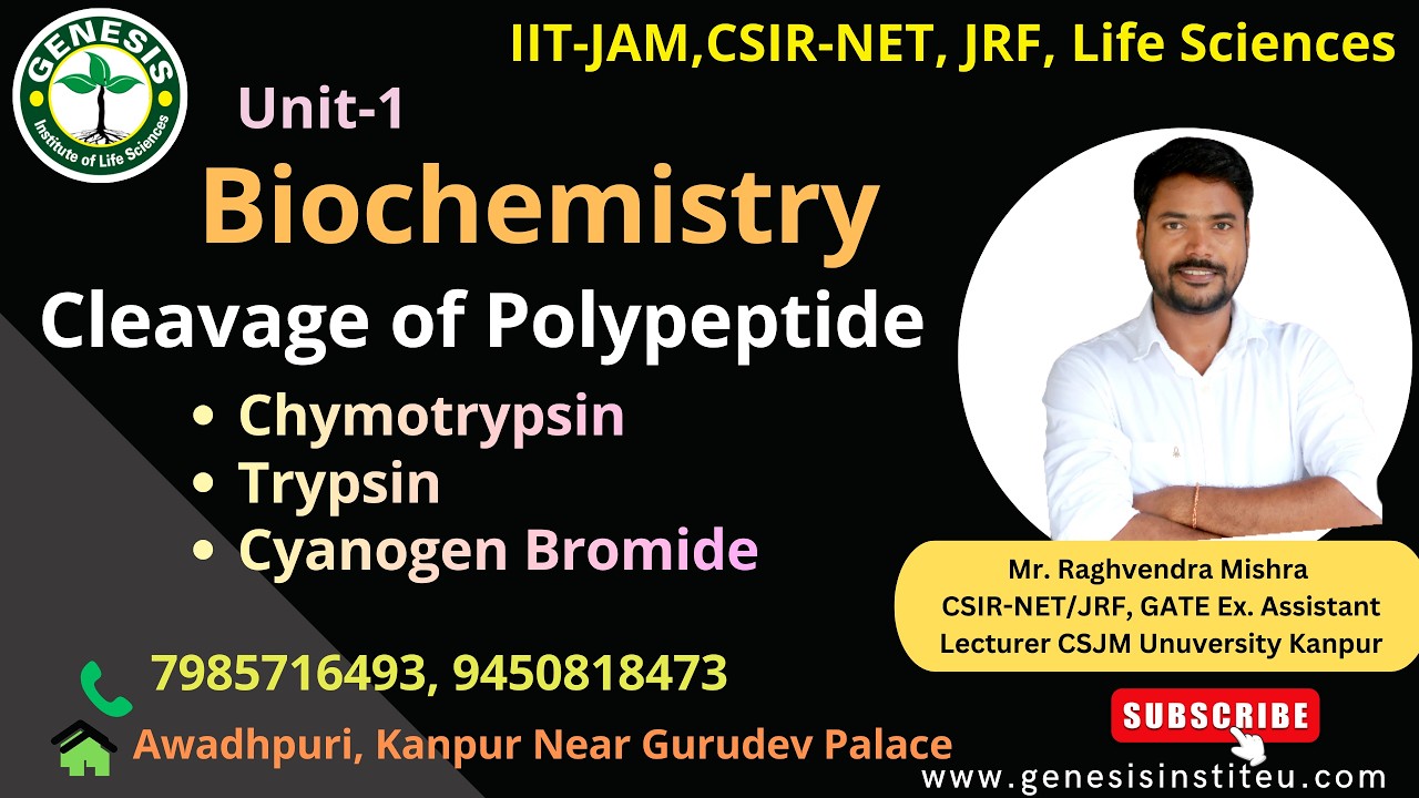 Cleavage of Polypeptide | Biochemistry #genesis_institute#csir # csirnet#lifescience