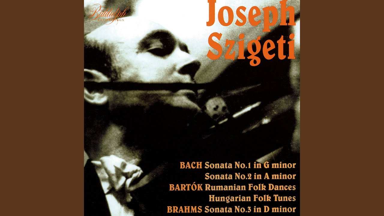 For Children, Vol. 1, Sz. 42 (Excerpts Arr. J. Szigeti for Violin & Piano) : No. 5, Allegro