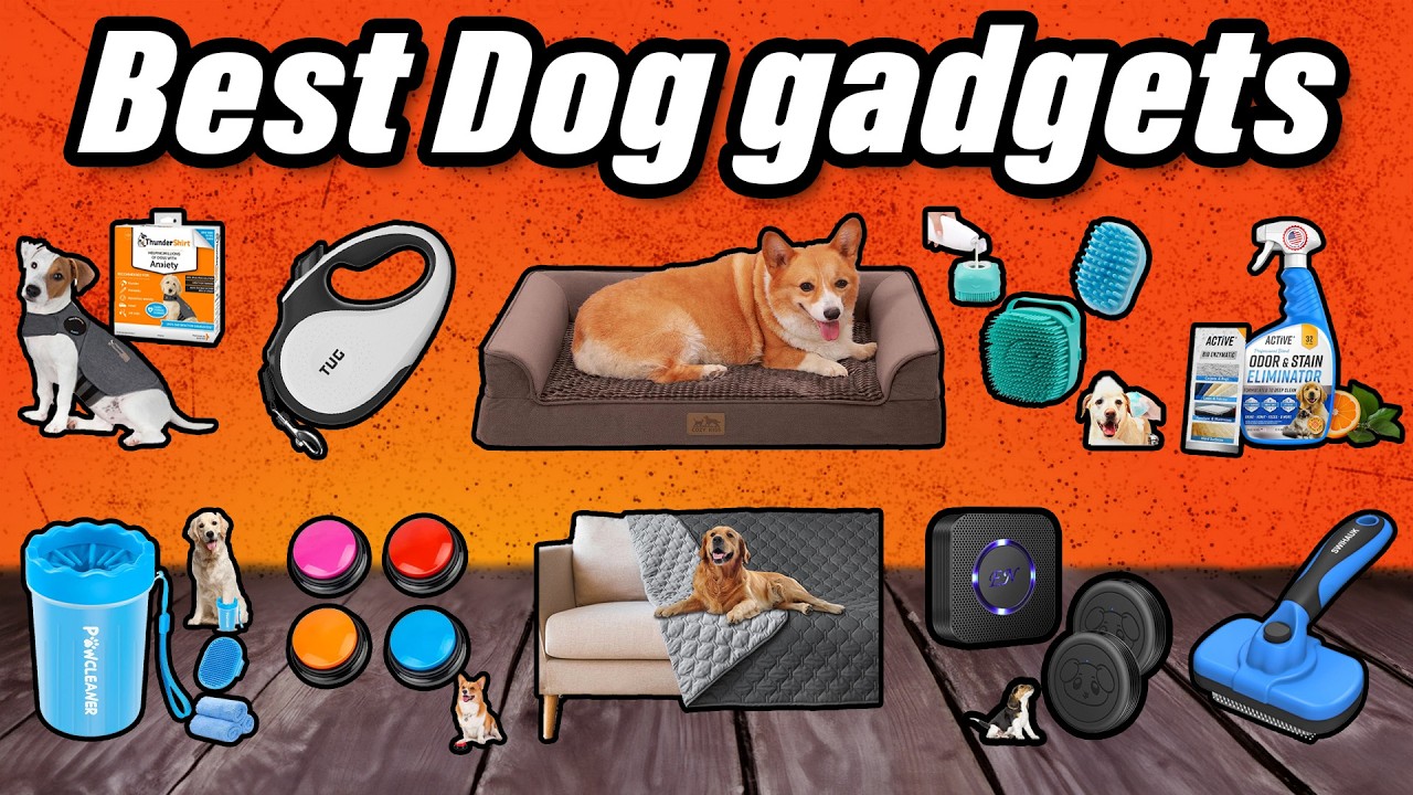 30 Best Amazon Dog Gadgets Every Senior Over 65 NEEDS!