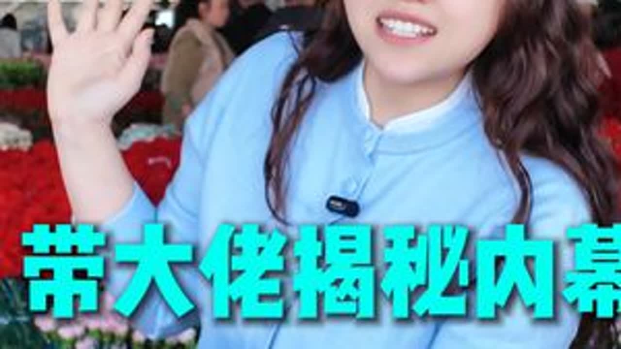 今天带大佬揭秘康乃馨的行业内幕！ #云南鲜花 #鲜花批发 #康乃馨 #三八女神节 #蚂蚁花团
