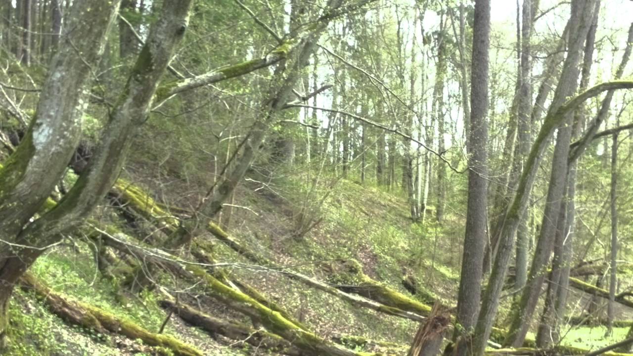 Ruiny mostu na Łynie