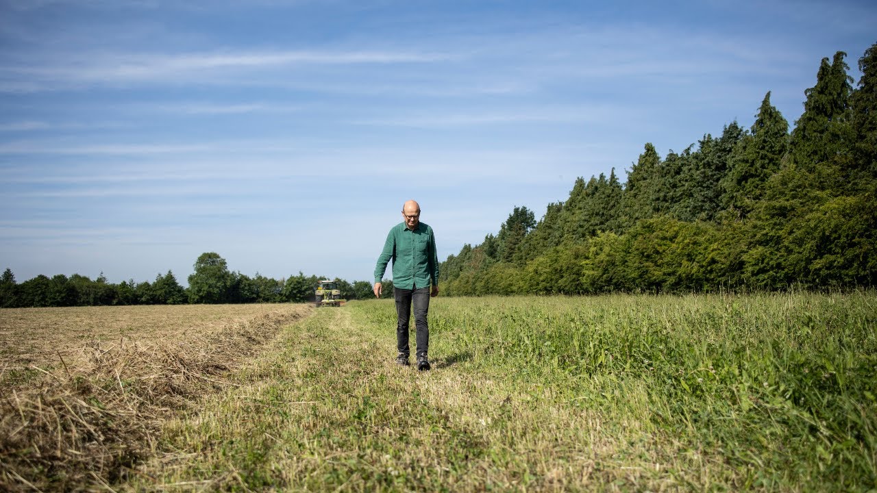 Grazing livestock for storing carbon: Yatesbury House Farm