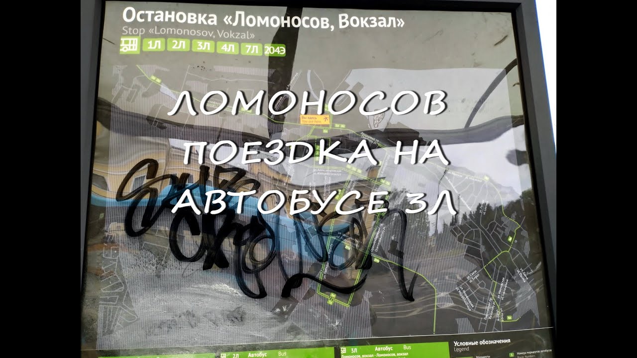 Транспорт в Ломоносове Маршрут автобуса номер 3Л