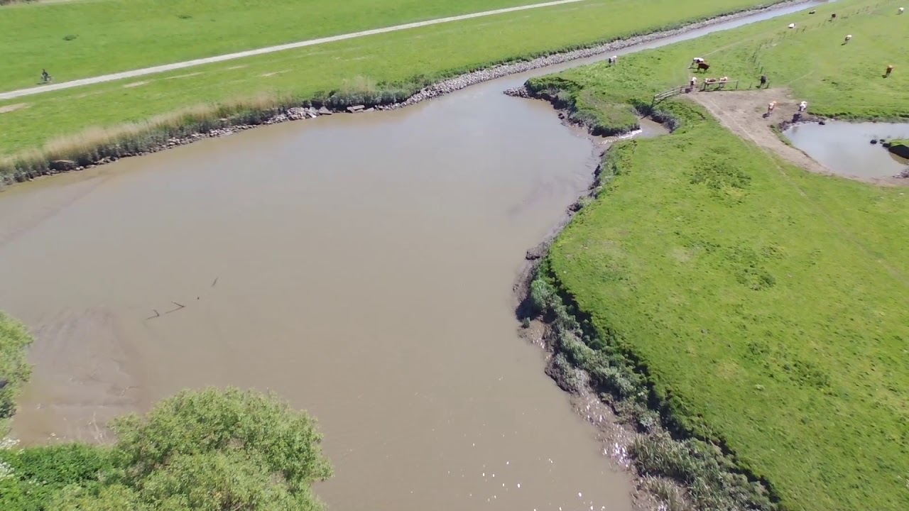 Haseldorf Hafen Hetlinger Schanze 11 5 2019