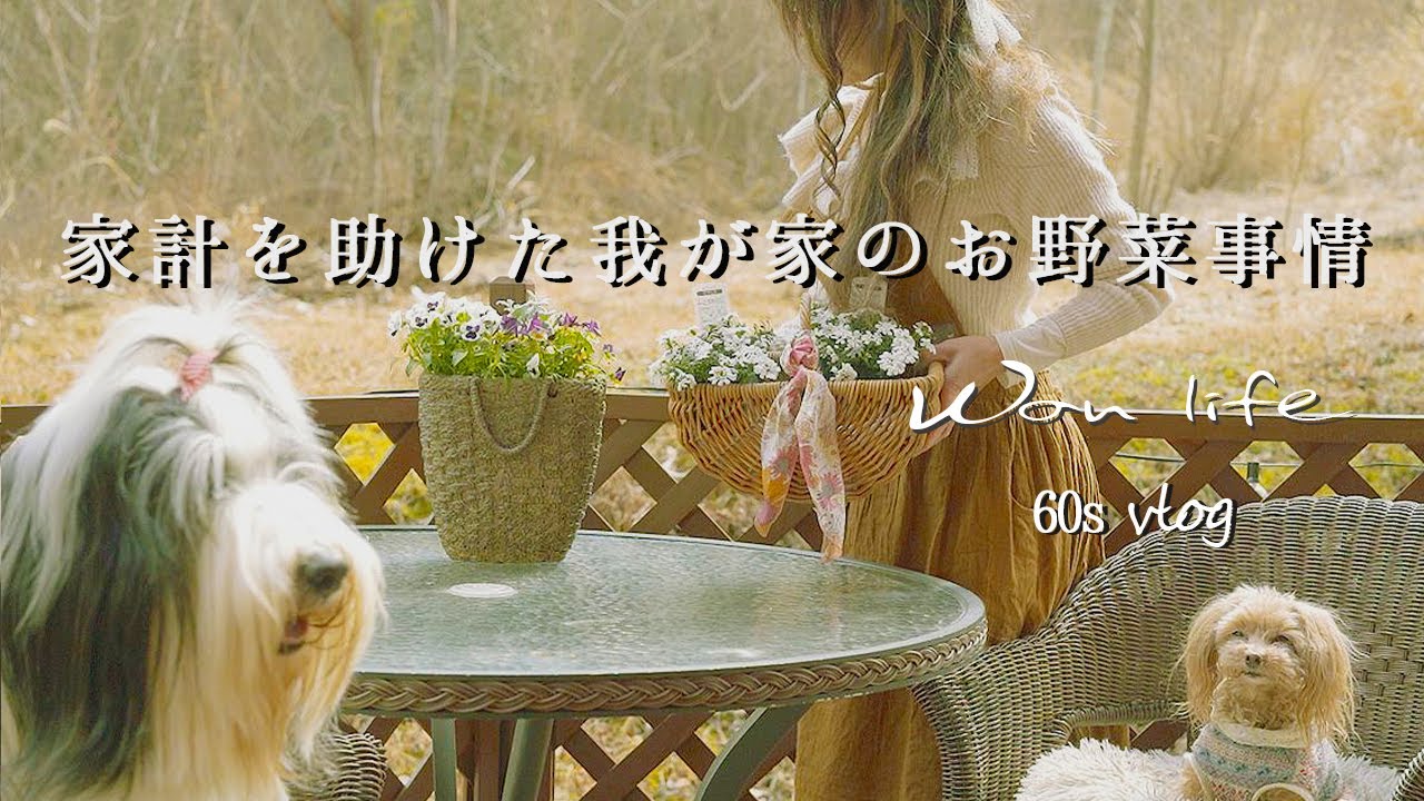 [Дачная жизнь] Как хранить овощи 🥦|Овощной суп|60-е|Влог|Медленная жизнь|Групповая посадка