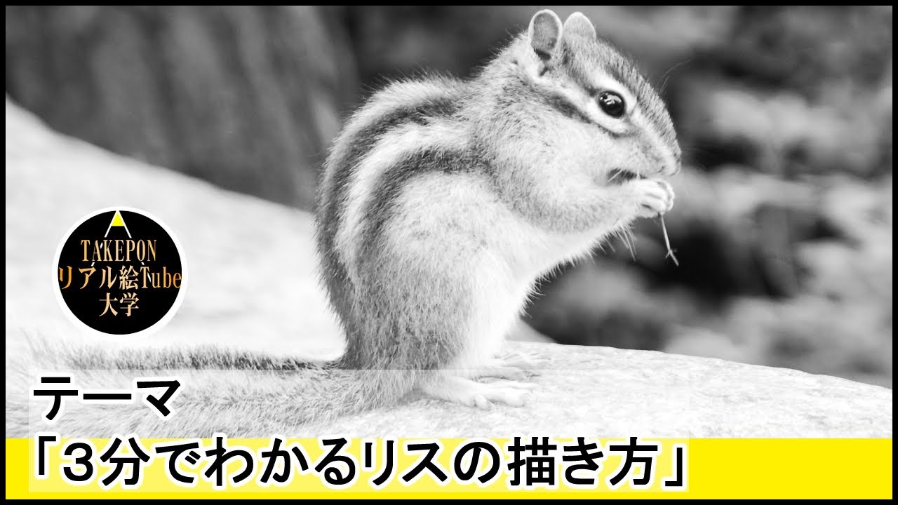 初心者でも簡単！5分でわかるリスの描き方【絵の描き方】ー中学校の美術で使える動物スケッチの書き方のコツ