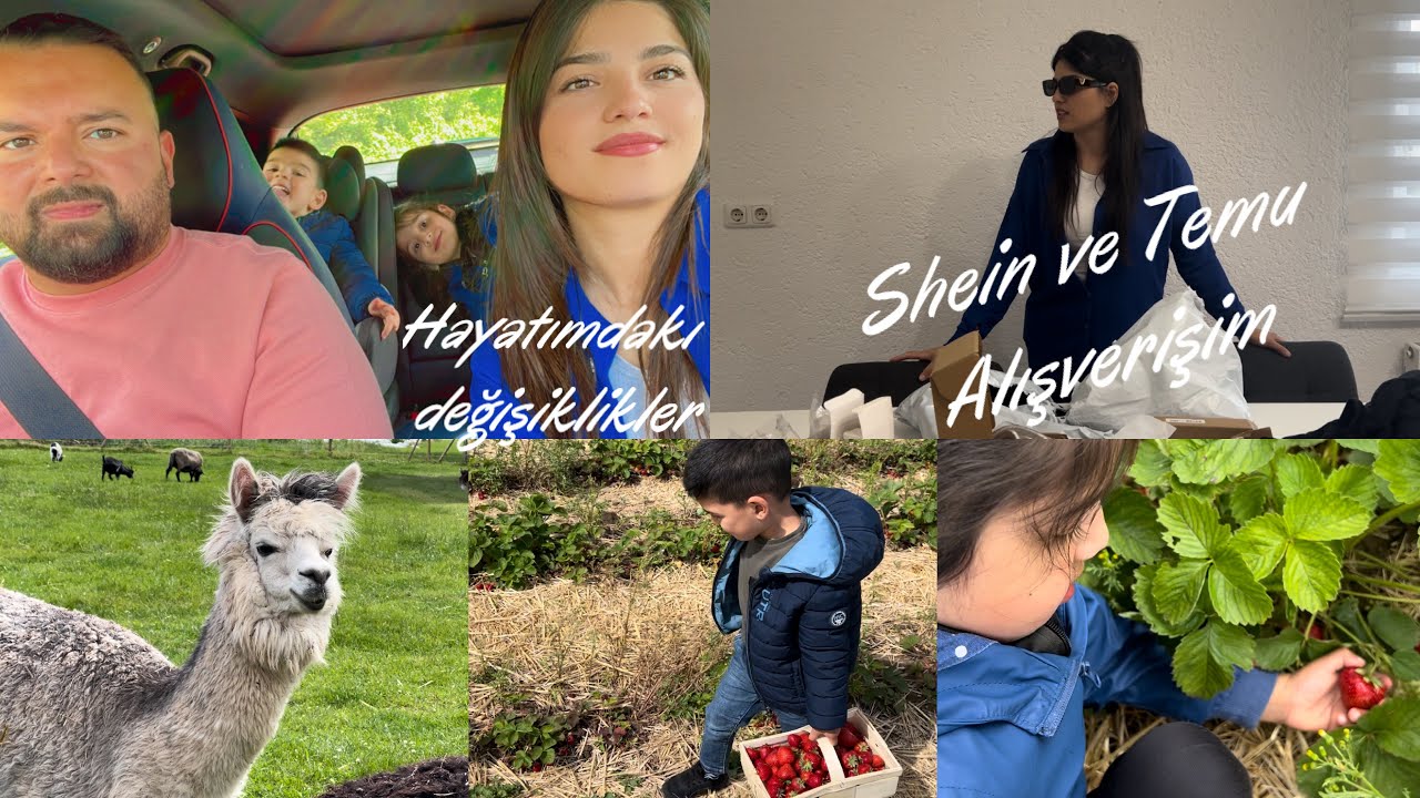 HAYATIMDAKI DEĞİŞİKLİKLER🌺| TEMU VE SHEIN ALIŞVERİŞİ 🛍️| Çilek topladık 🍓 DOGUM GÜNÜM🎂| LAMA🦙
