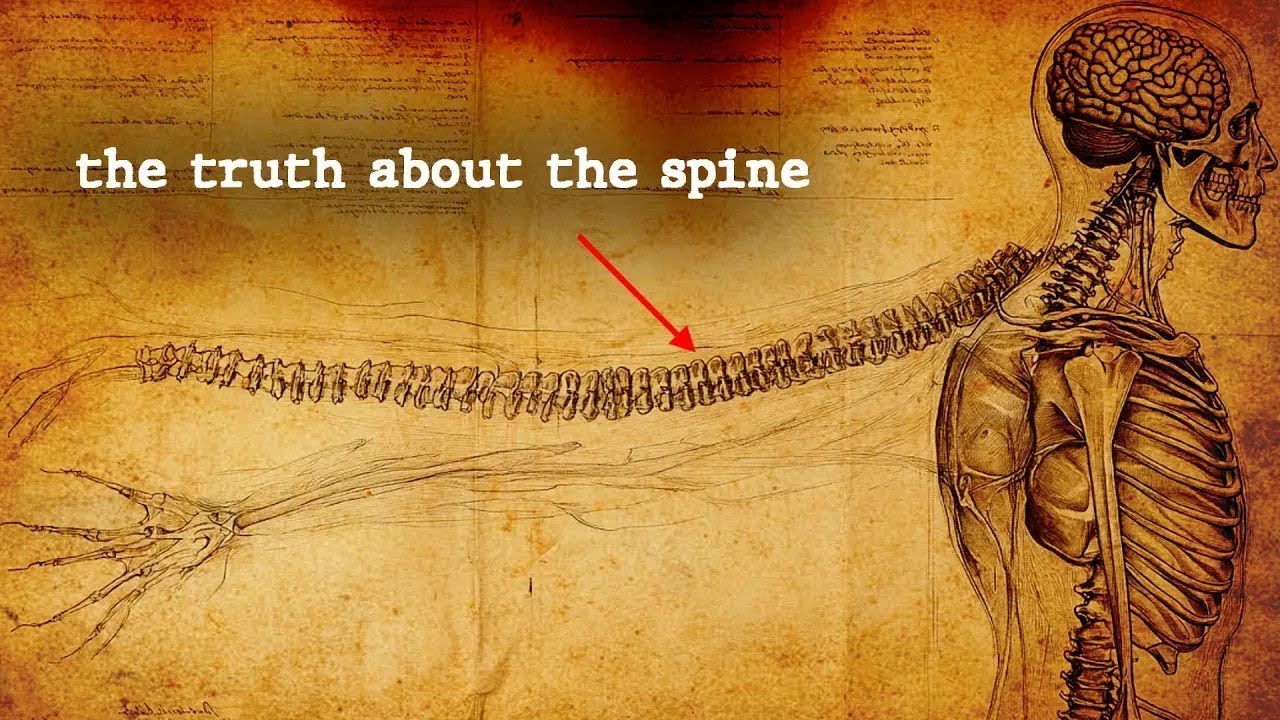 REVEALED: Hidden technique to Energy Control (it&rsquo;s in your spine)