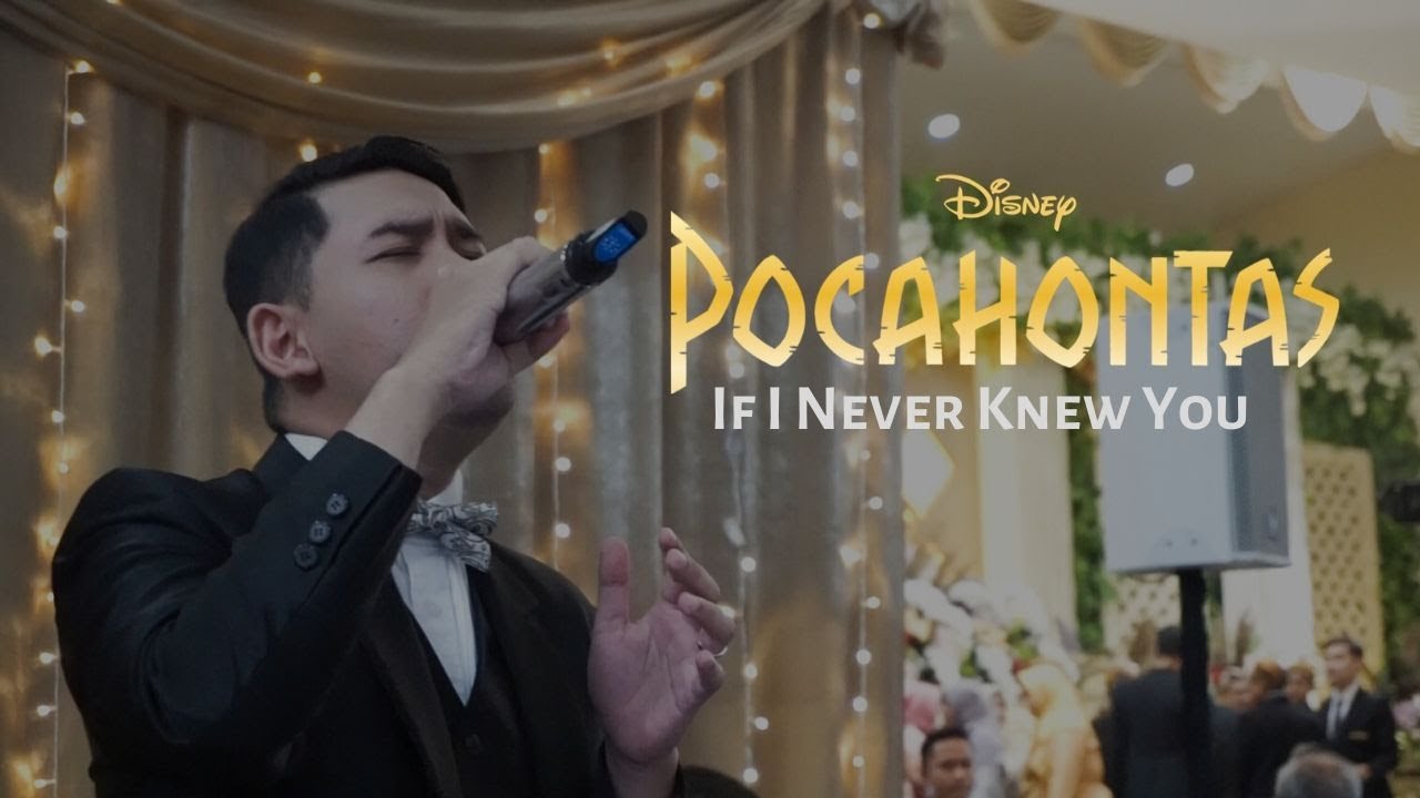 If I Never Knew You - Pocahontas Soundtrack (Cover) by Harmonic Music