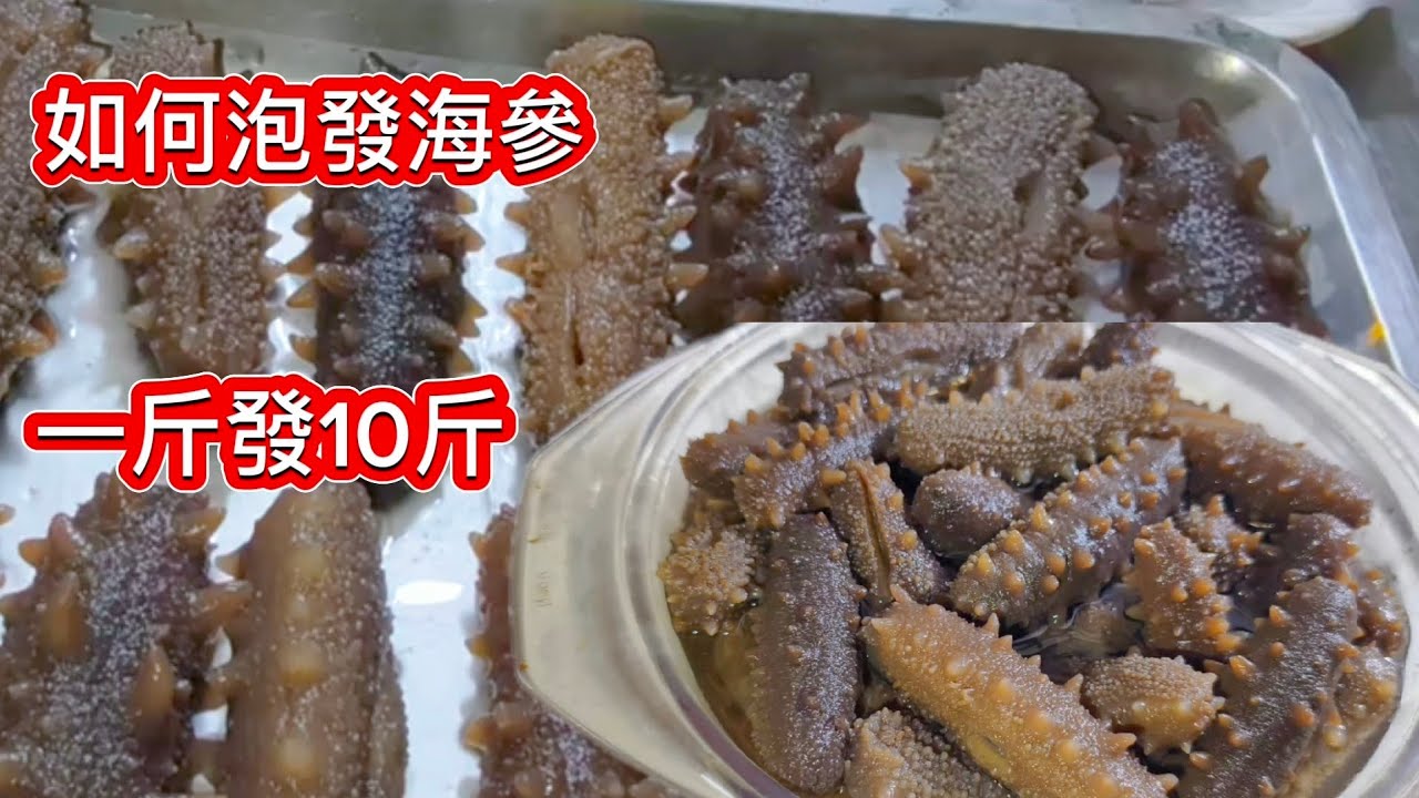 巧娘怎么做到500克海參 發出滿滿一鍋海參❗發好怎么保存 怎么吃最營養