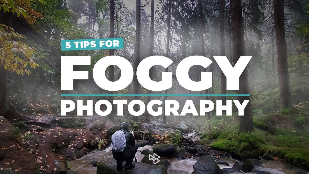 5 советов по фотографированию тумана