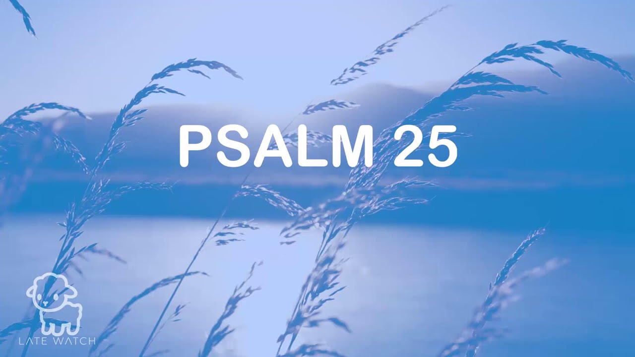 Morning Scripture Live | Psalm 32, John 1, Psalm 25 and John 14 | Late Watch